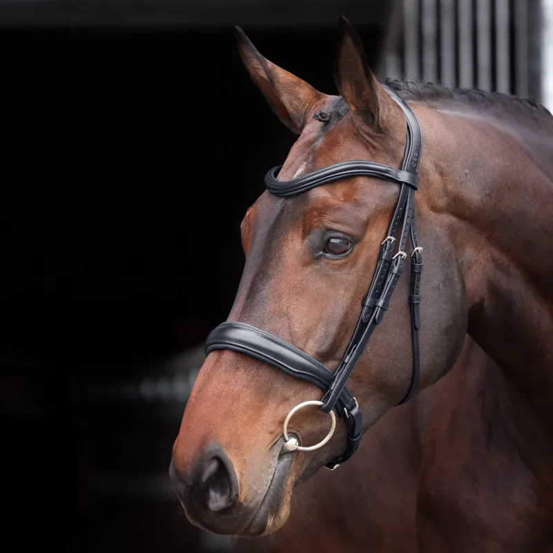Velociti Lusso Elite Padded Cavesson Bridle in Black