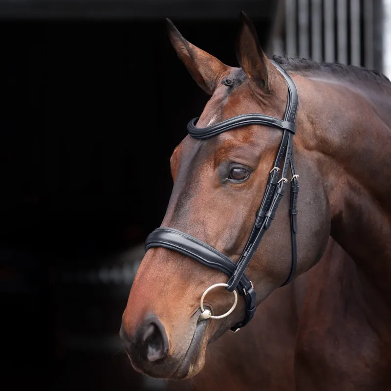 Velociti Lusso Elite Padded Cavesson Bridle in Black