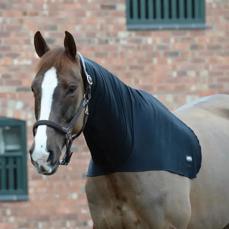 WeatherBeeta Stretch Neck Rug in Black-1