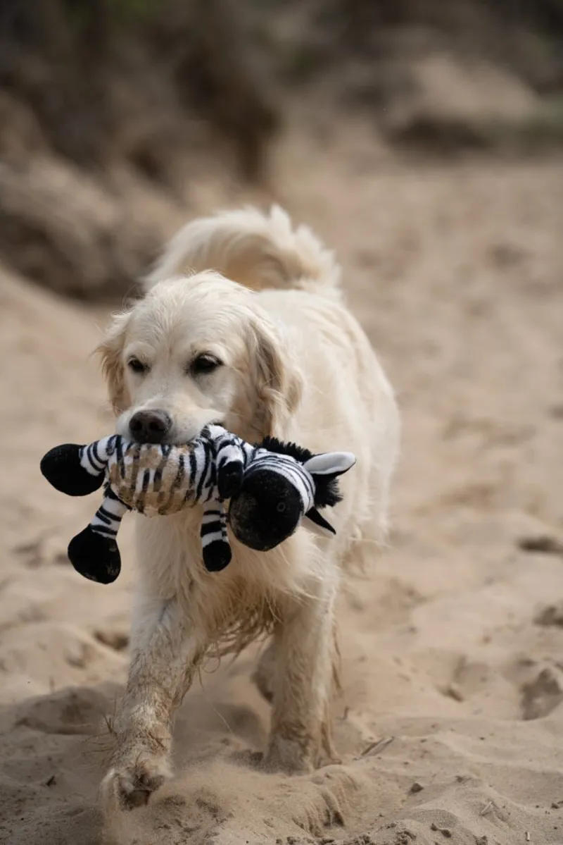 Petface Planet Zebedee Zebra Plush Dog Toy-10