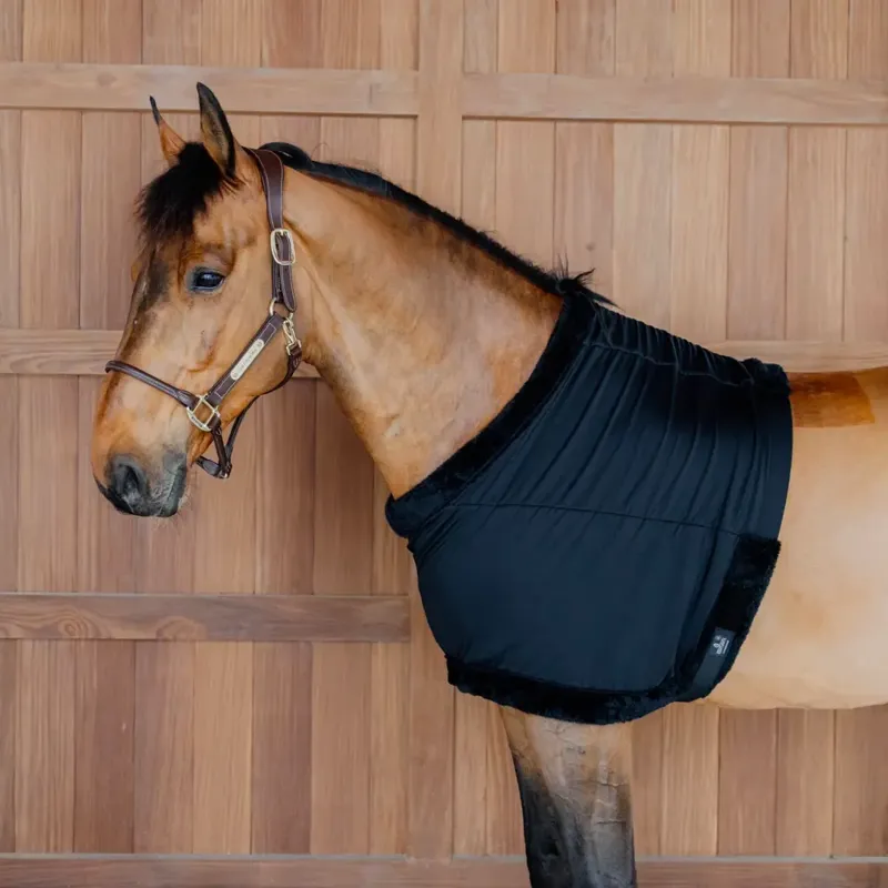 Kentucky Horsewear Chest Protection in Black