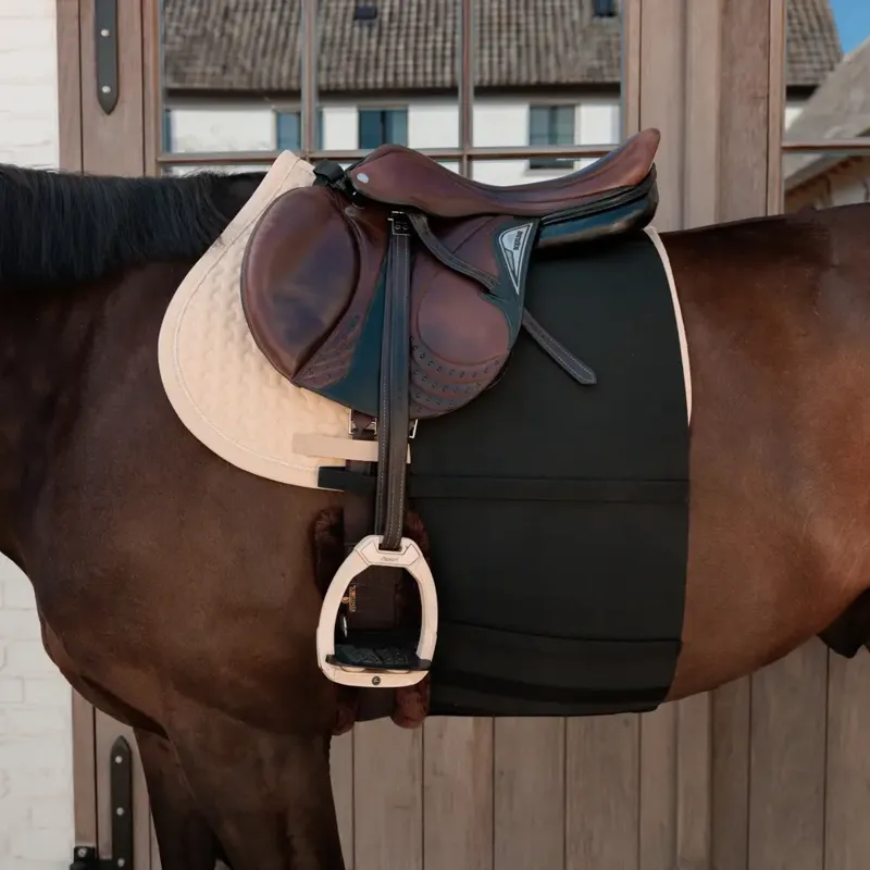 Kentucky Horsewear Belly Band in Black-2