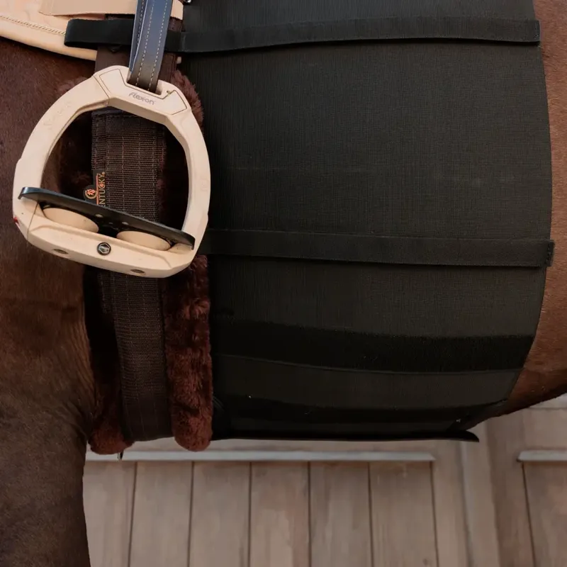 Kentucky Horsewear Belly Band in Black-4
