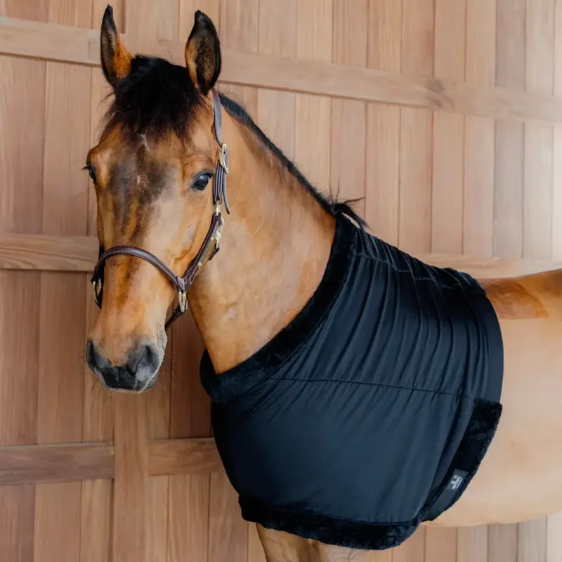Kentucky Horsewear Chest Protection in Black-3