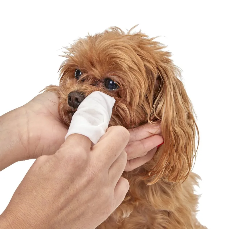 Petface Pet Eye and Ear Wipes-8