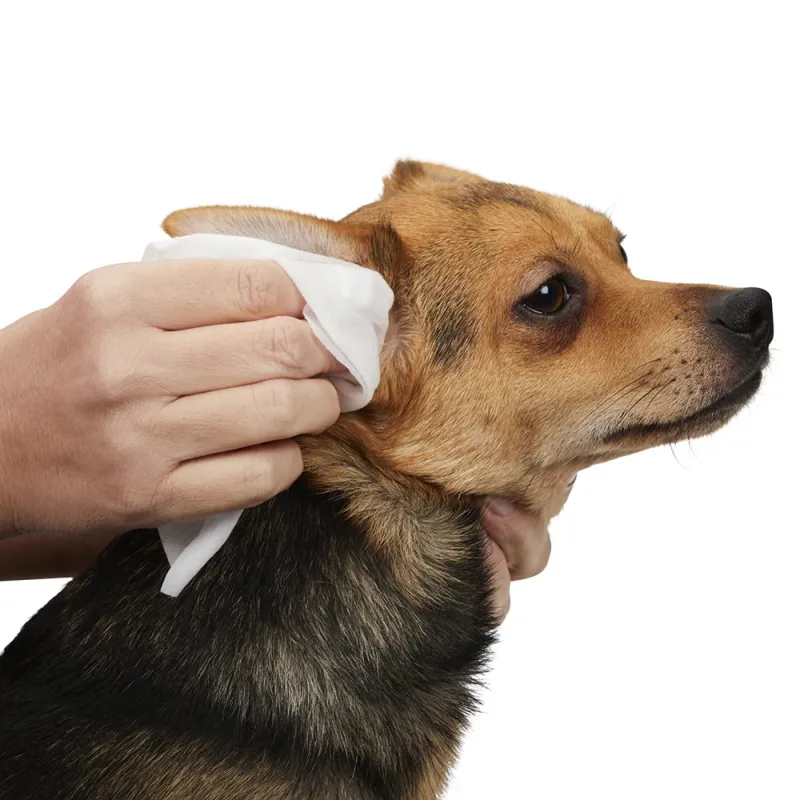 Petface Pet Eye and Ear Wipes-7