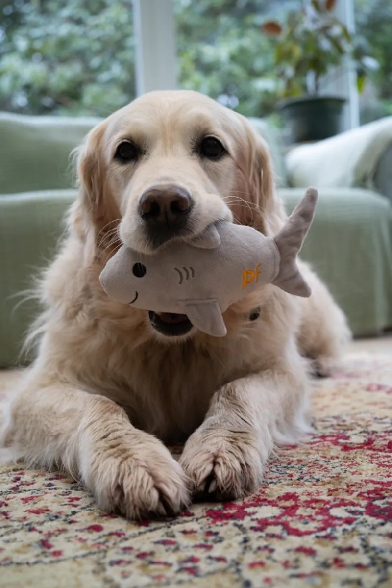 Petface Seriously Strong Rubberoid Shark Plush Dog Toy-8