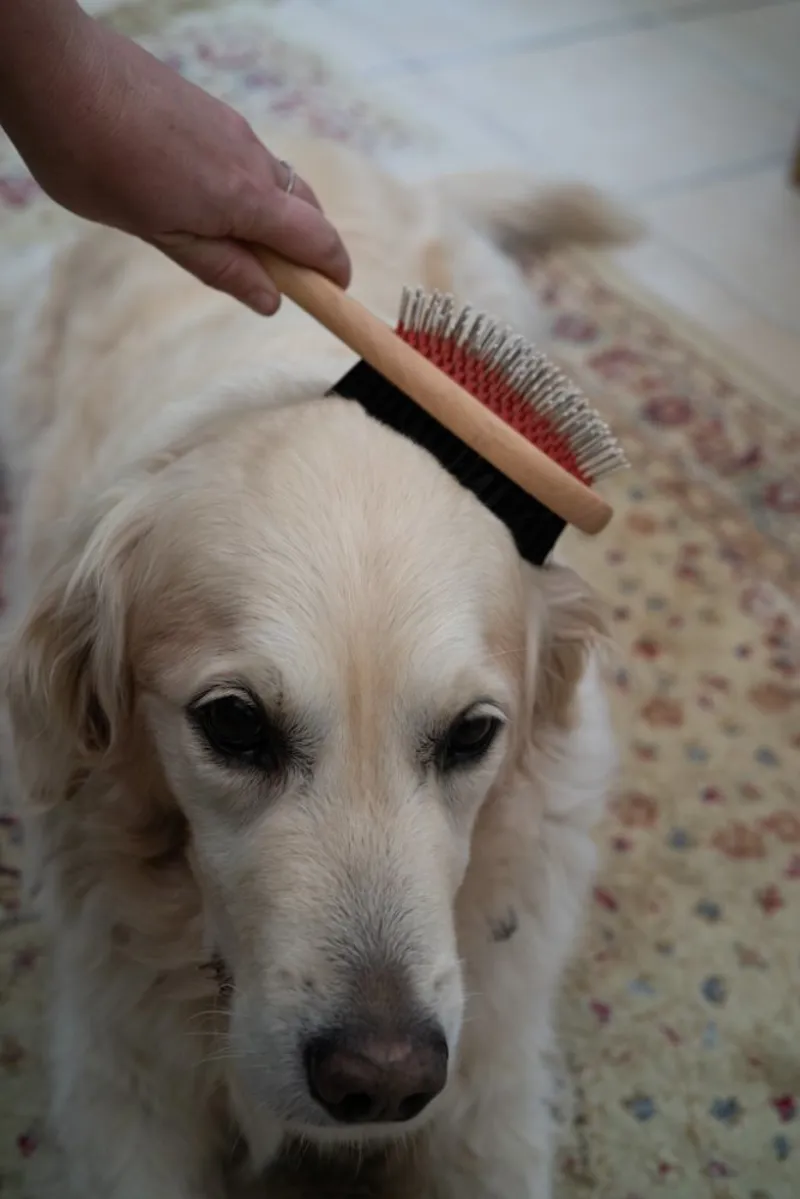 Petface Wooden Double Sided Dog Brush-3