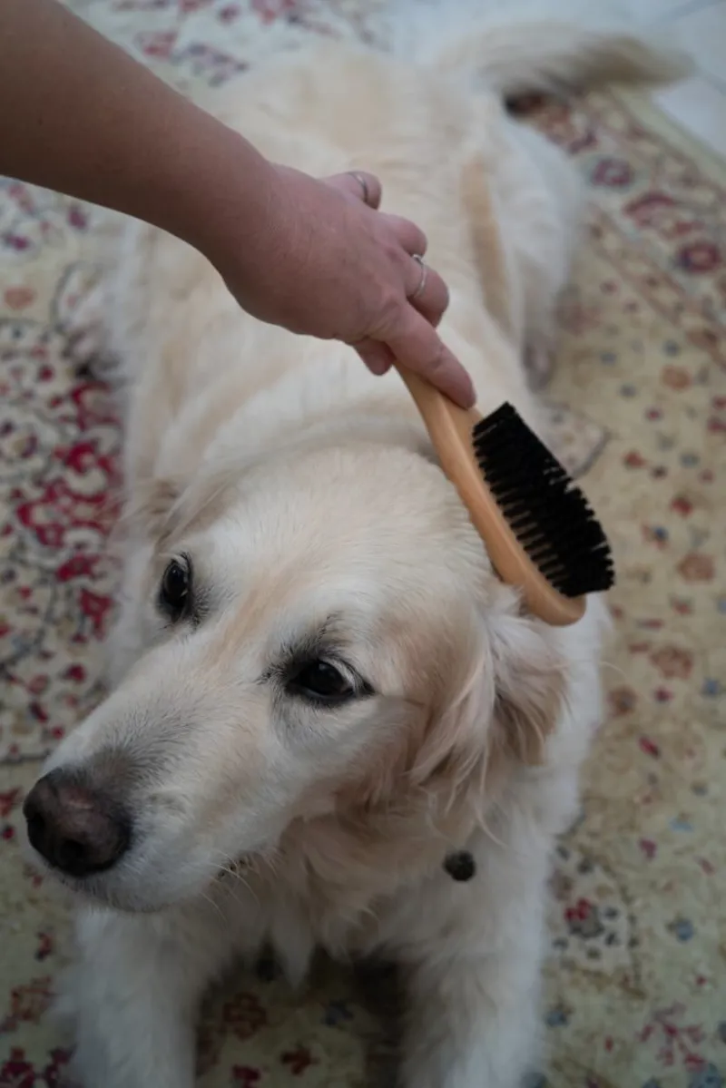 Petface Wooden Double Sided Dog Brush-2