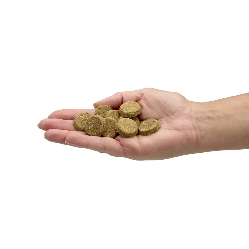 Petface Dog Deli Wellness Detox Dog Treats-6
