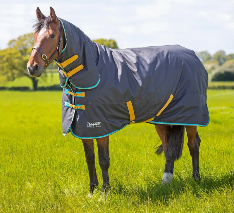 Tempest Original Combo Turnout Rug 300g in Black