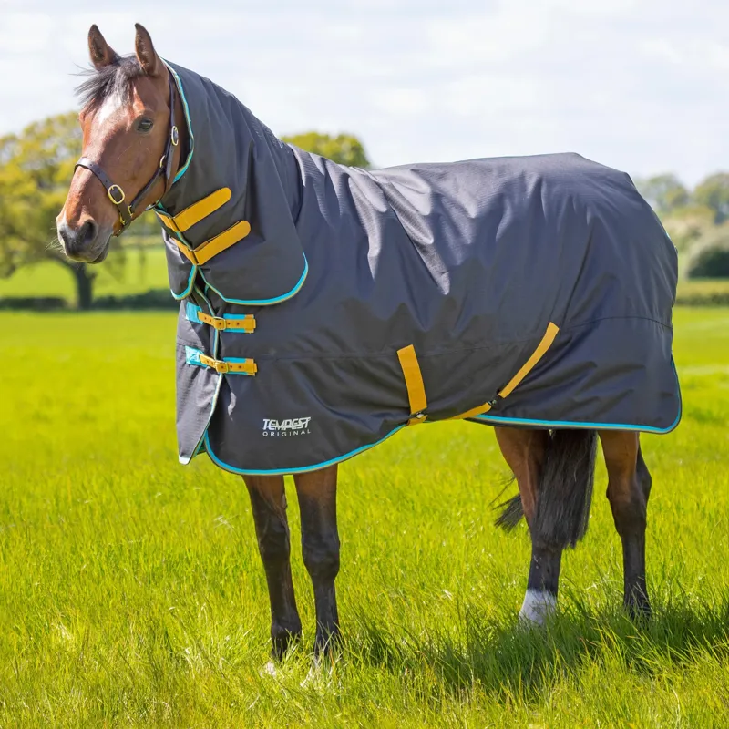 Tempest Original Combo Turnout Rug 300g in Black-2