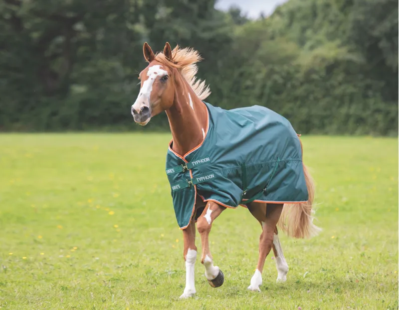 Shires Typhoon Lite 0g Turnout Rug in Green