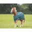 Shires Typhoon Lite 0g Turnout Rug in Green
