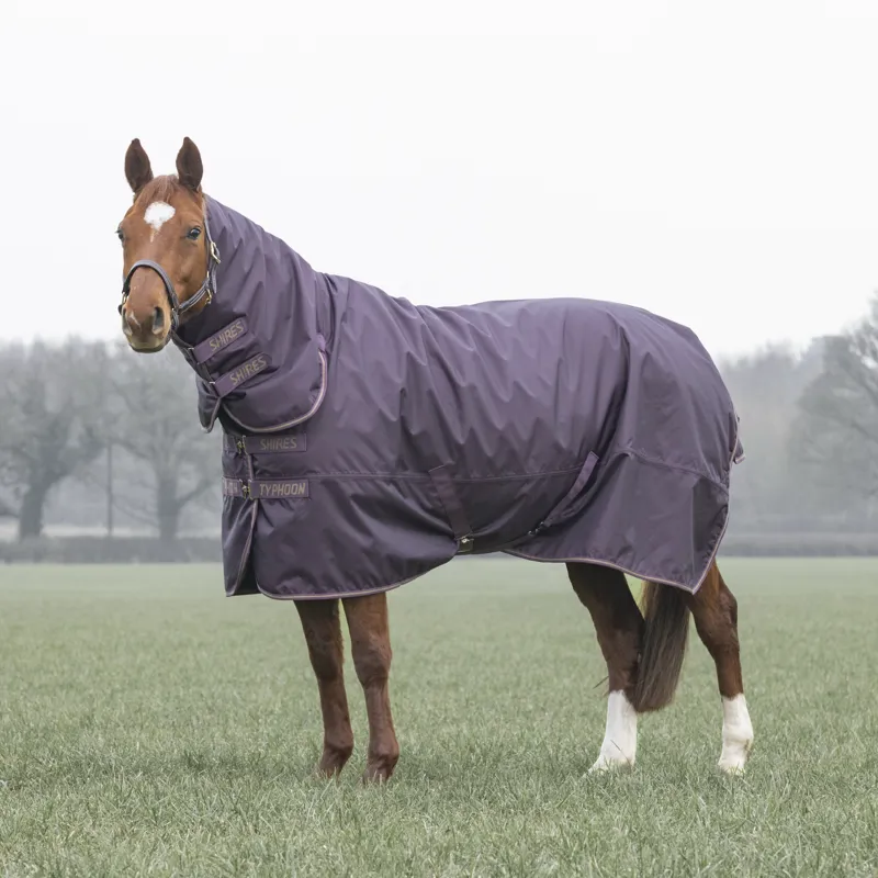 Shires Typhoon Turnout Combo Rug 100g in Black Cherry