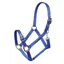 ARMA Adjustable Headcollar in Blue