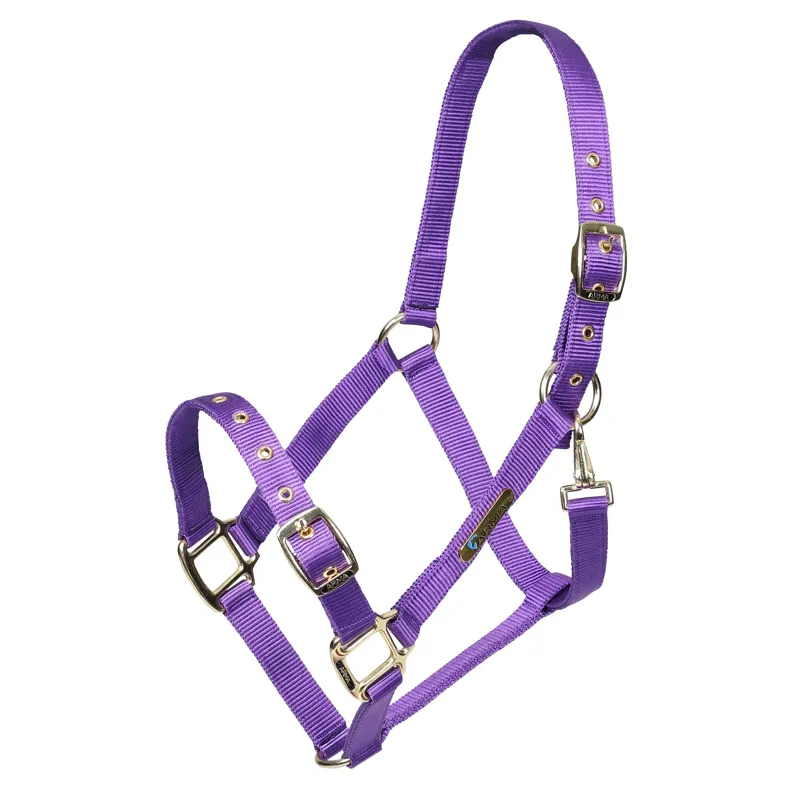 ARMA Adjustable Headcollar in Purple