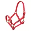 ARMA Adjustable Headcollar in Red