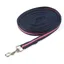 ARMA Cushion Web Lunge Line in Navy and Pink