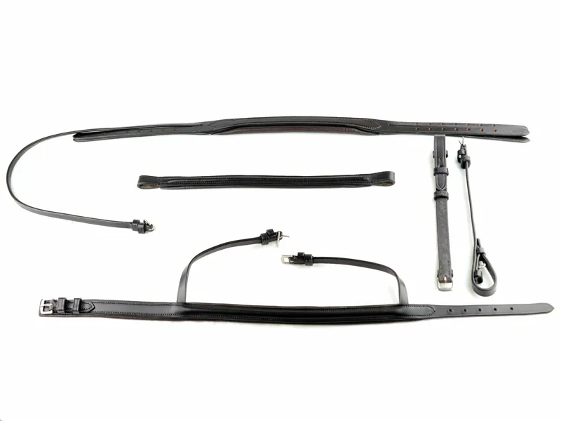 Ascot by Dever Comfort Padded Show Bridle in Black-4