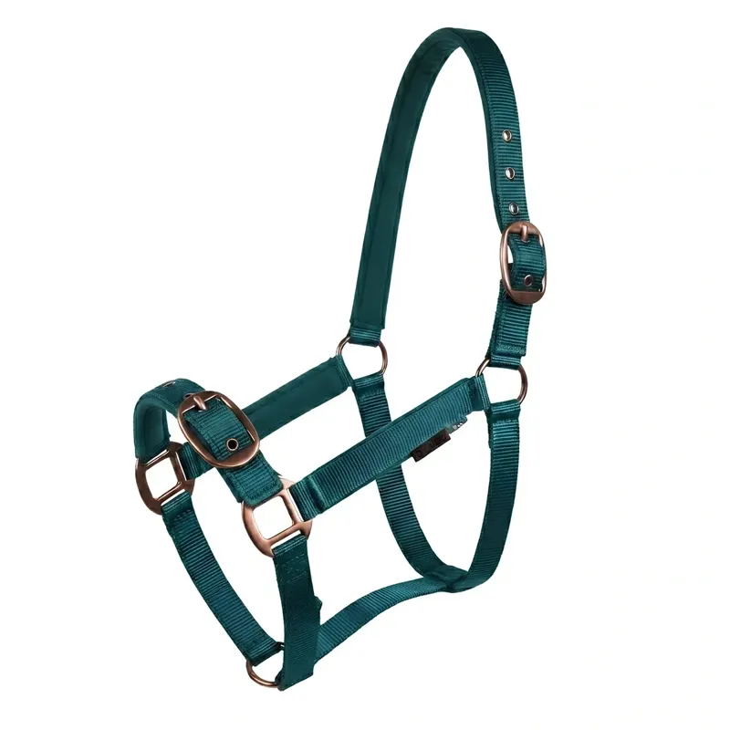 Cameo Equine Suede Padded Headcollar in Evergreen