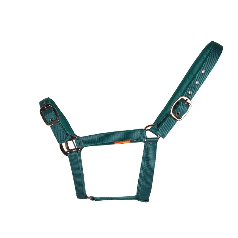 Cameo Equine Suede Padded Headcollar in Evergreen-1