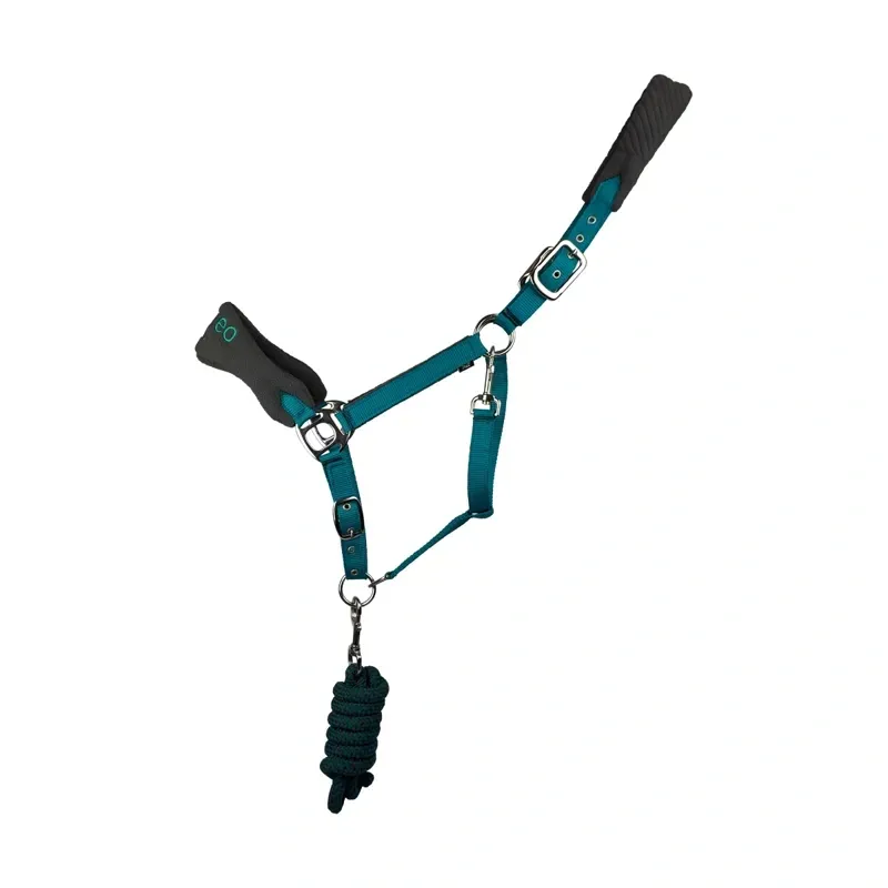 Cameo Equine Suede Elite Headcollar and Rope Set in Teal