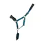 Cameo Equine Suede Elite Headcollar and Rope Set in Teal