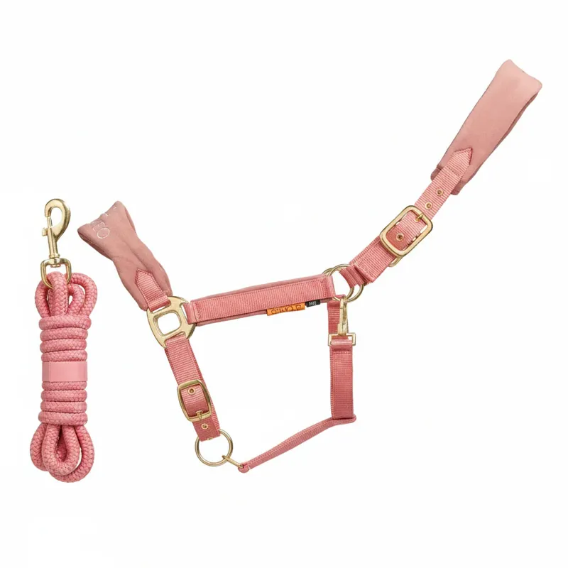 Cameo Suede Elite Headcollar and Rope in Dusky Pink