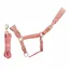 Cameo Suede Elite Headcollar and Rope in Dusky Pink