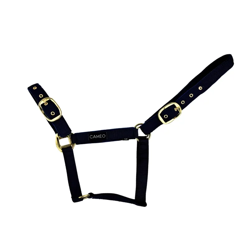 Cameo Suede Padded Headcollar in Black