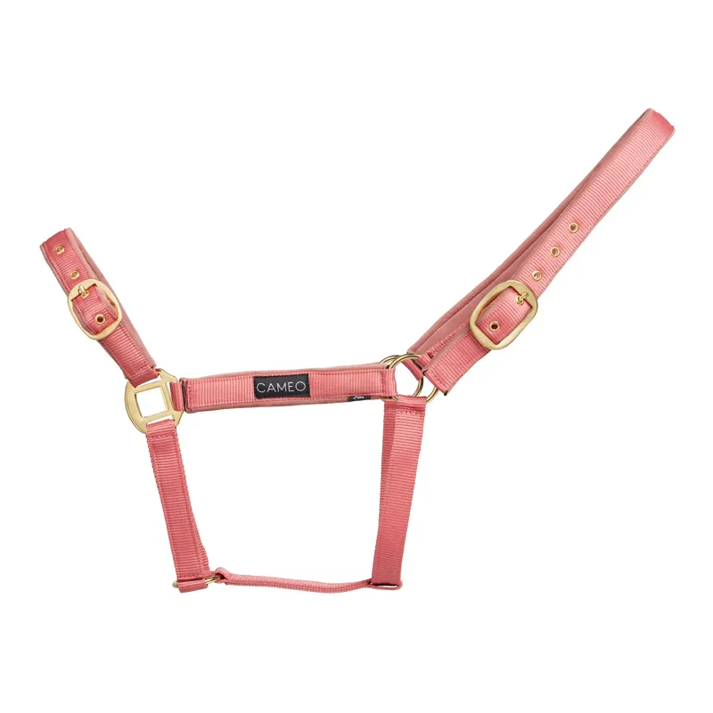 Cameo Suede Padded Headcollar in Dusky Pink
