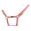 Cameo Suede Padded Headcollar in Dusky Pink