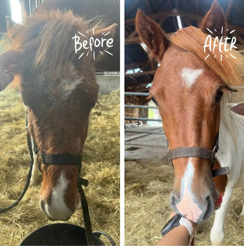 Carr and Day and Martin Killitch 1 litre-3