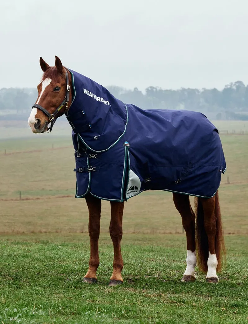 Weatherbeeta Comfitec Plus Dynamic Detach-a-Neck 220g Turnout Rug in Navy and Forest