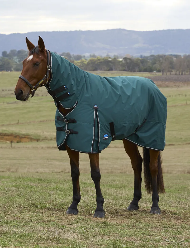 Weatherbeeta Comfitec Classic Combo 50g Turnout Rug in Forest