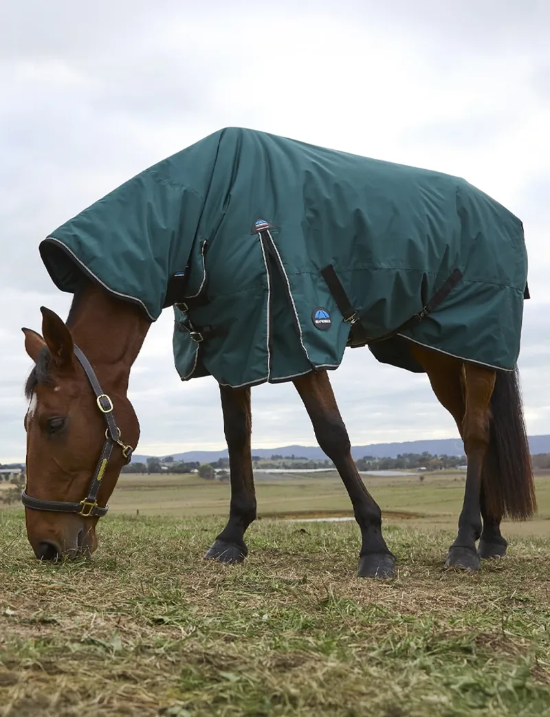 Weatherbeeta Comfitec Classic Combo 50g Turnout Rug in Forest-2