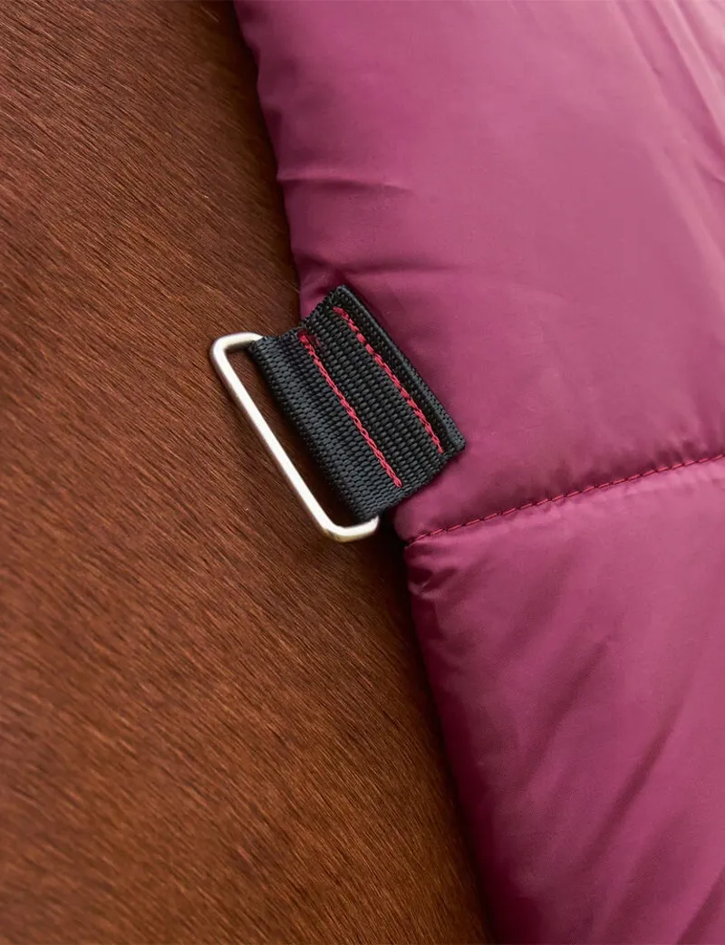 Weatherbeeta Comfitec Prelim Combo 0g Turnout Rug in Burgundy and Navy-6