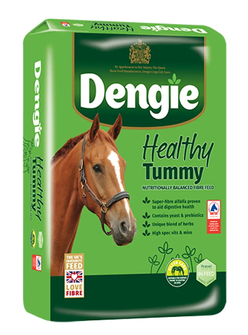 Dengie Healthy Tummy Horse Feed 20kg