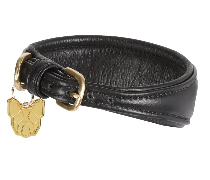 Digby and Fox Padded Greyhound Dog Collar in Black