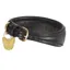 Digby and Fox Padded Greyhound Dog Collar in Black