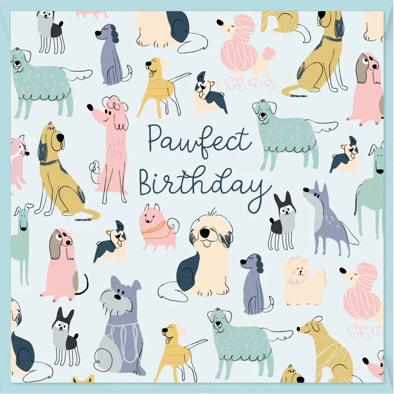 Doodley Dogs Pawfect Birthday Card