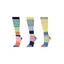 Dublin 3 Pack of Socks Childs in Colour Block