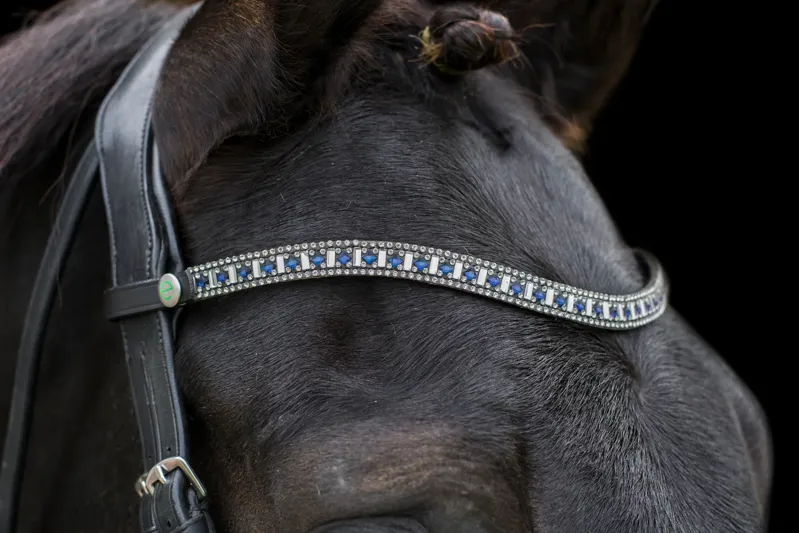 Cameo Equine Freedom Sapphire Browband in Black