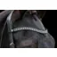 Cameo Equine Freedom Sapphire Browband in Black