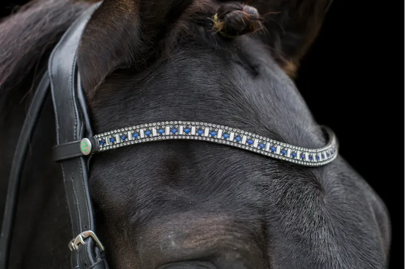 Cameo EcoRider Perfect Fit Sapphire Browband in Black