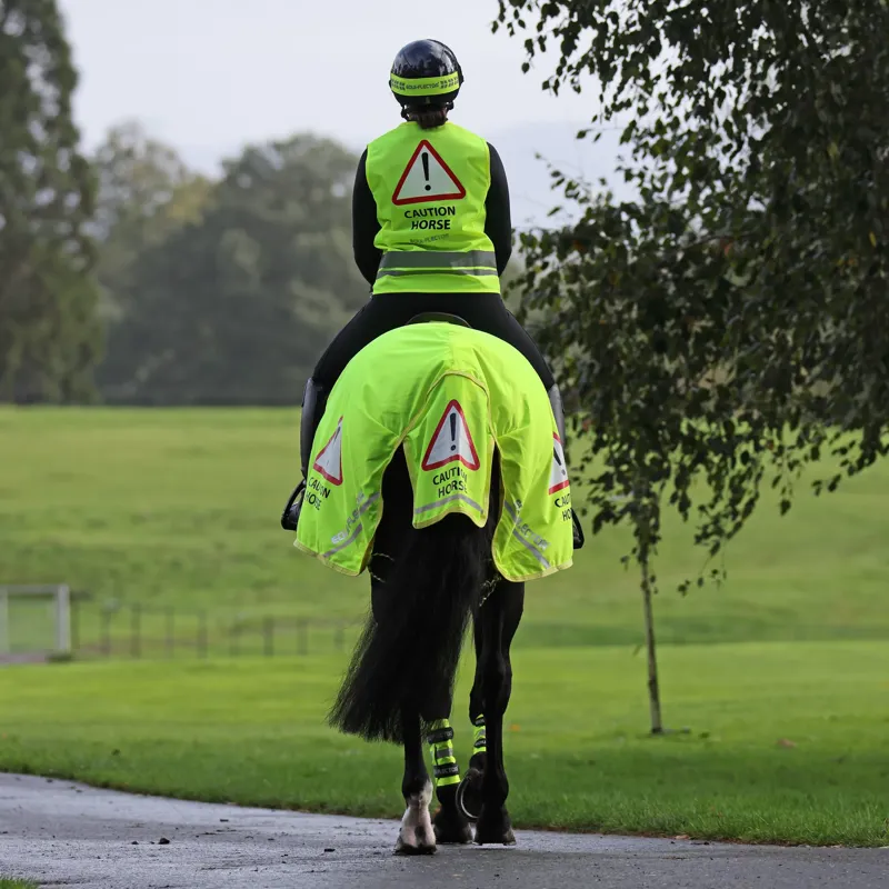 EQUI-FLECTOR Mesh Exercise Sheet in Yellow-1