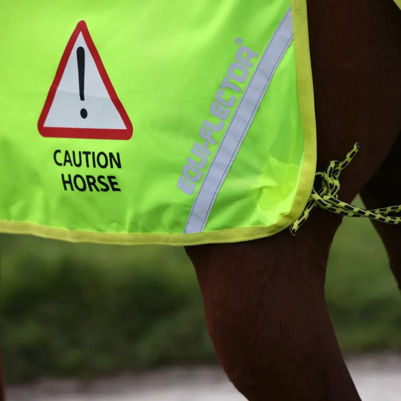 EQUI-FLECTOR Mesh Exercise Sheet in Yellow-2