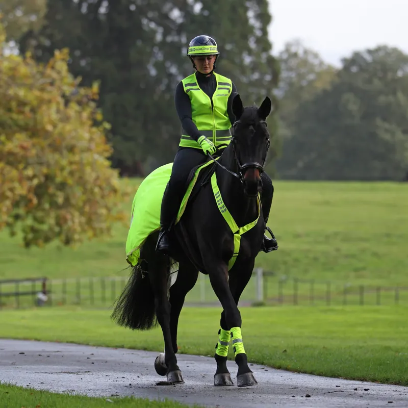 EQUI-FLECTOR Mesh Exercise Sheet in Yellow-4