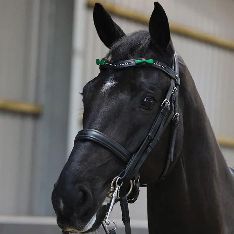 Equetech Horse Bridle Warning Ribbons in Green-1